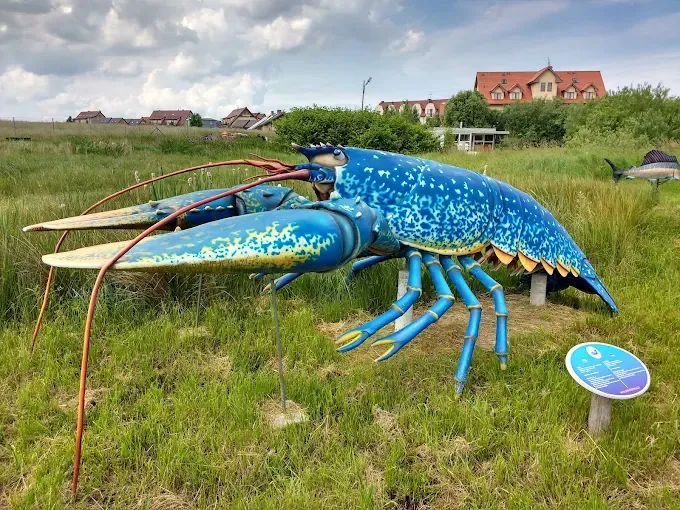 Park Wieloryba